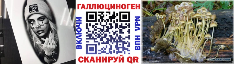 Псилоцибиновые грибы GOLDEN TEACHER  цены наркотик  мега как войти  Новосокольники 