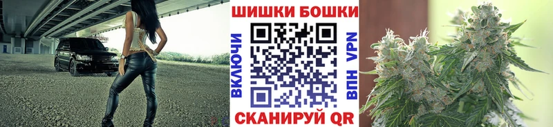 Каннабис OG Kush  Новосокольники 